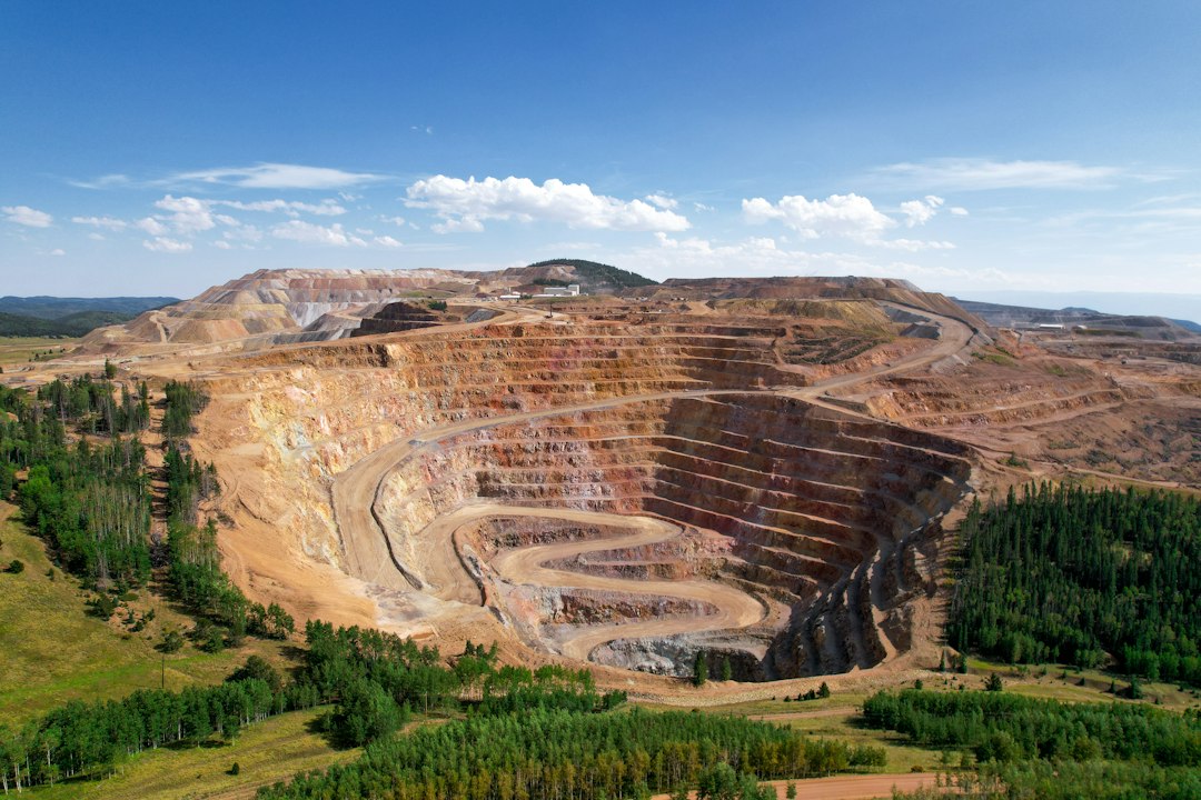 a large open pit in the middle of a forest