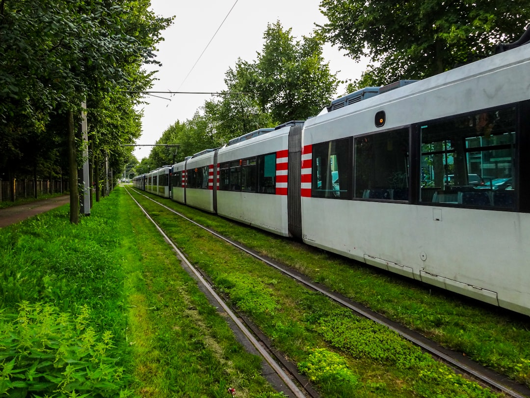 Modern tram traveling on tracks through green trees