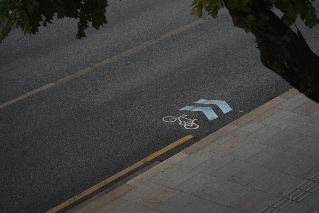 Bicycle lane marking on asphalt with tree branch overhead