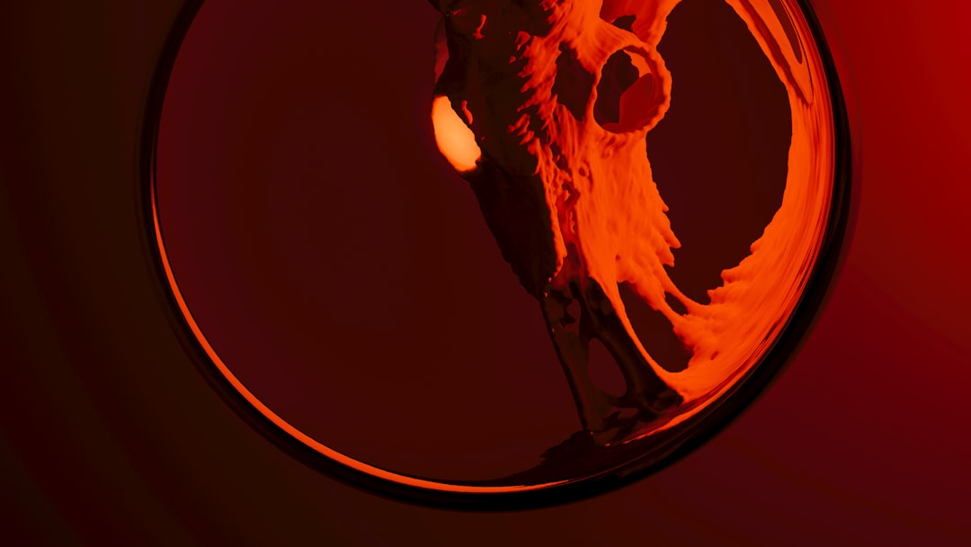 a circular mirror with a bird in it